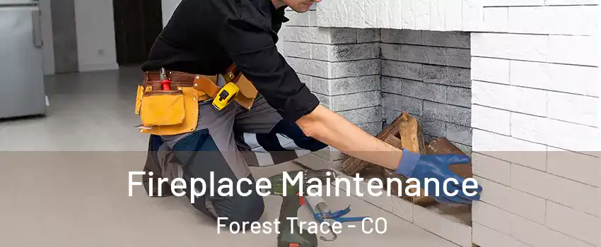 Fireplace Maintenance Forest Trace - CO