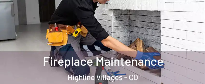 Fireplace Maintenance Highline Villages - CO