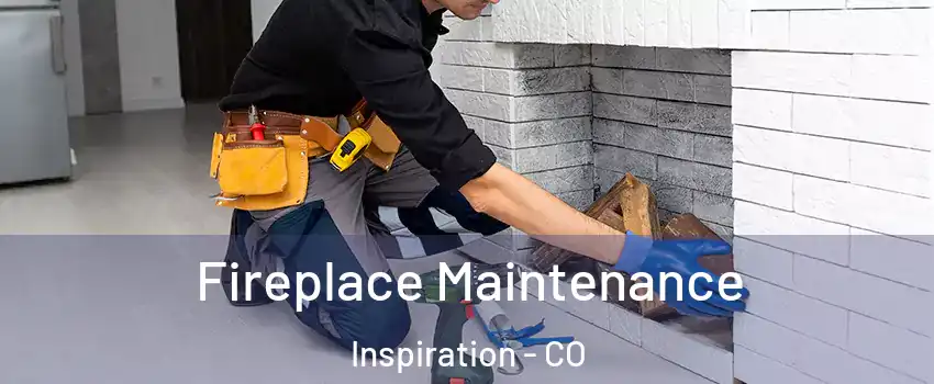 Fireplace Maintenance Inspiration - CO