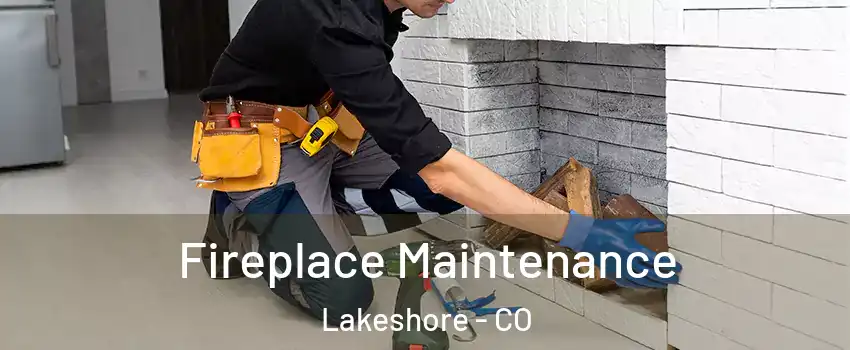 Fireplace Maintenance Lakeshore - CO