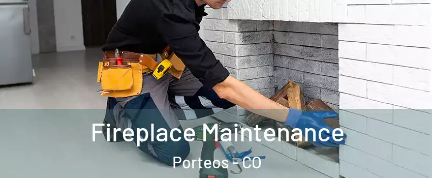 Fireplace Maintenance Porteos - CO