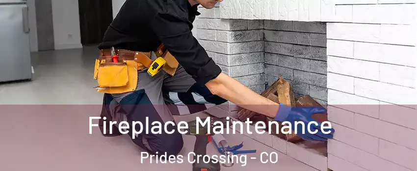 Fireplace Maintenance Prides Crossing - CO