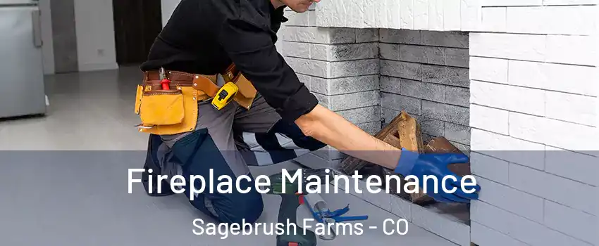 Fireplace Maintenance Sagebrush Farms - CO