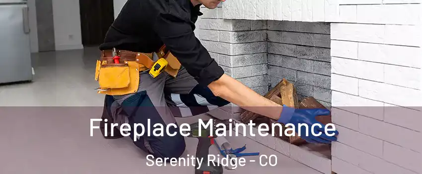 Fireplace Maintenance Serenity Ridge - CO