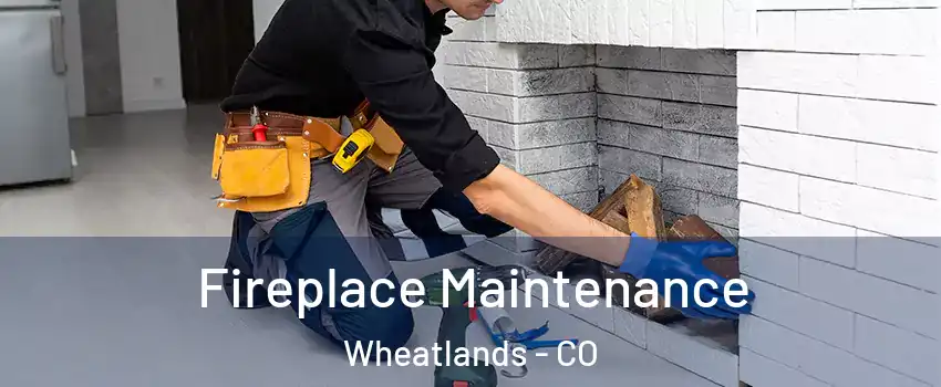 Fireplace Maintenance Wheatlands - CO