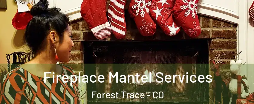 Fireplace Mantel Services Forest Trace - CO