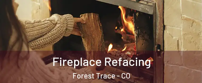 Fireplace Refacing Forest Trace - CO