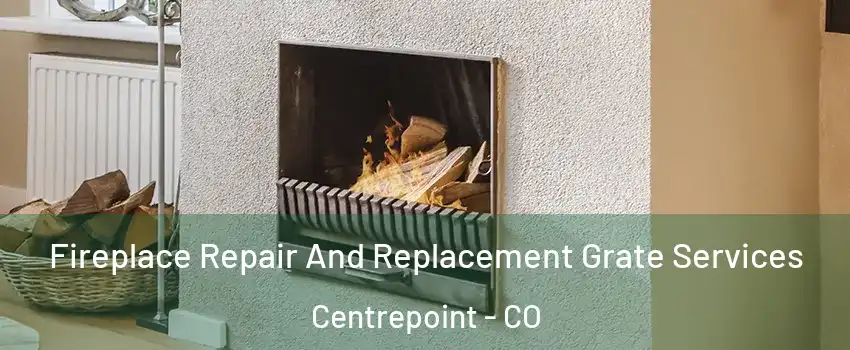 Fireplace Repair And Replacement Grate Services Centrepoint - CO