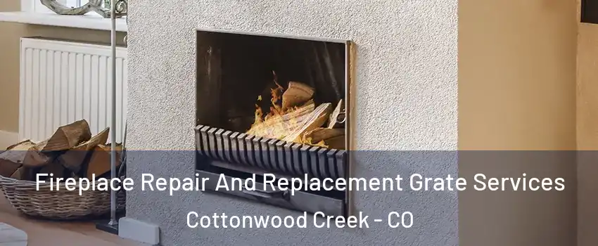 Fireplace Repair And Replacement Grate Services Cottonwood Creek - CO