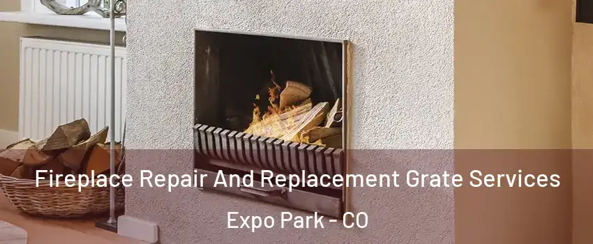 Fireplace Repair And Replacement Grate Services Expo Park - CO