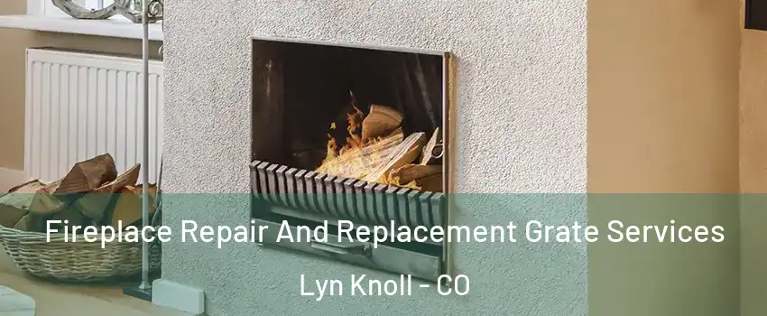 Fireplace Repair And Replacement Grate Services Lyn Knoll - CO