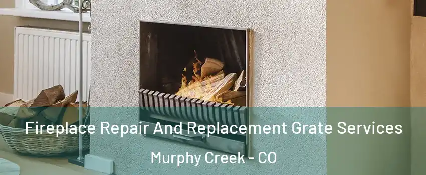 Fireplace Repair And Replacement Grate Services Murphy Creek - CO