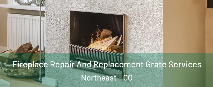 Fireplace Repair And Replacement Grate Services Northeast - CO