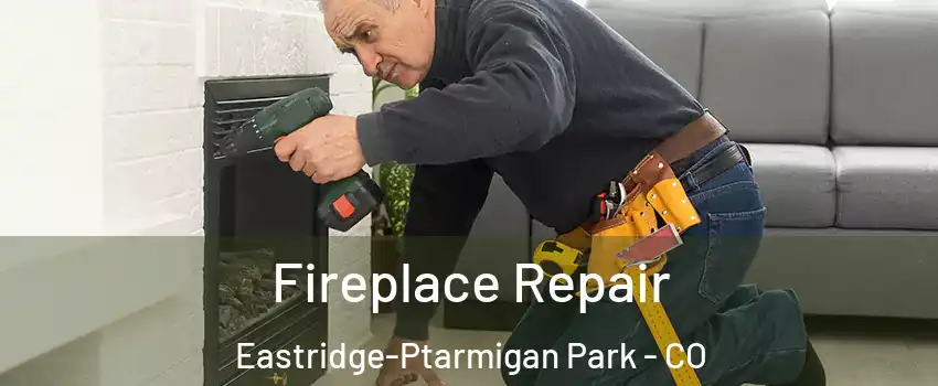 Fireplace Repair Eastridge-Ptarmigan Park - CO