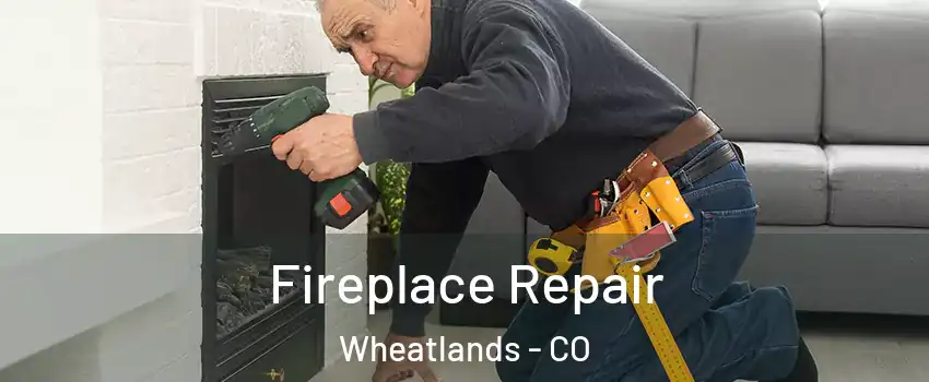 Fireplace Repair Wheatlands - CO