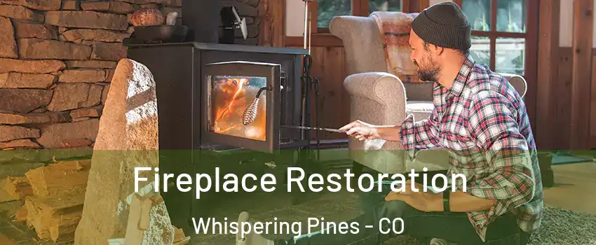 Fireplace Restoration Whispering Pines - CO