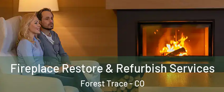 Fireplace Restore & Refurbish Services Forest Trace - CO