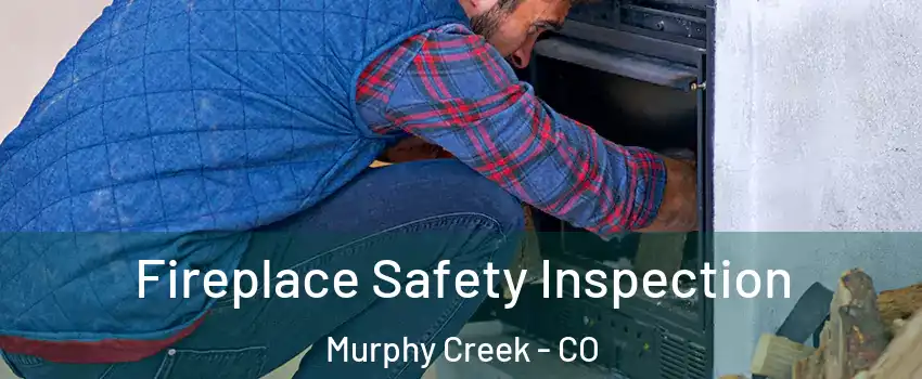 Fireplace Safety Inspection Murphy Creek - CO