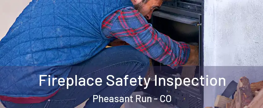 Fireplace Safety Inspection Pheasant Run - CO