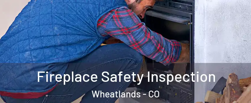 Fireplace Safety Inspection Wheatlands - CO