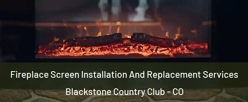 Fireplace Screen Installation And Replacement Services Blackstone Country Club - CO