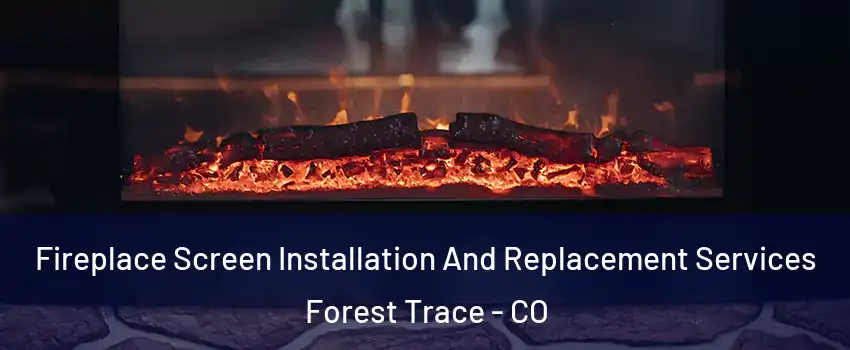 Fireplace Screen Installation And Replacement Services Forest Trace - CO