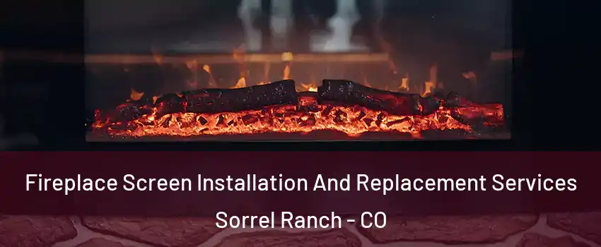 Fireplace Screen Installation And Replacement Services Sorrel Ranch - CO