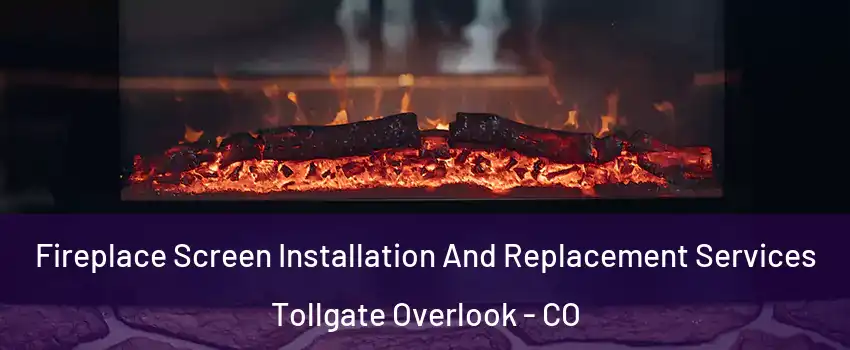 Fireplace Screen Installation And Replacement Services Tollgate Overlook - CO