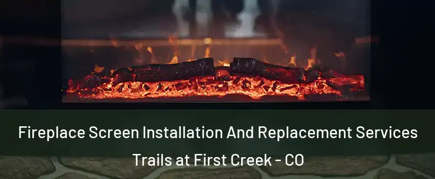 Fireplace Screen Installation And Replacement Services Trails at First Creek - CO