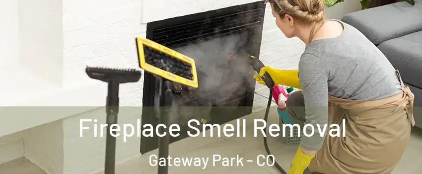 Fireplace Smell Removal Gateway Park - CO