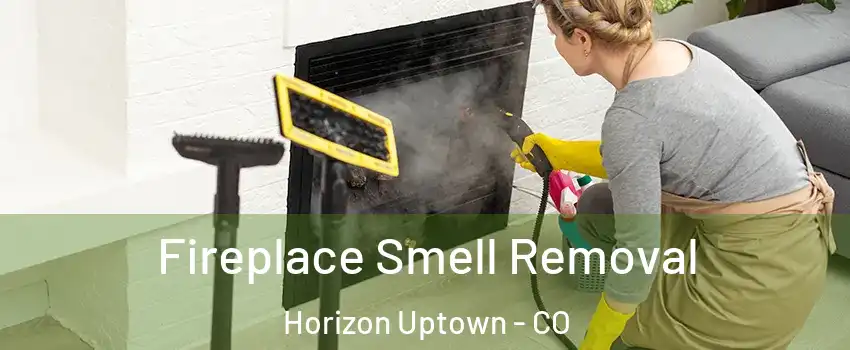 Fireplace Smell Removal Horizon Uptown - CO