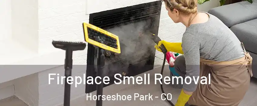 Fireplace Smell Removal Horseshoe Park - CO