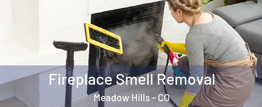 Fireplace Smell Removal Meadow Hills - CO