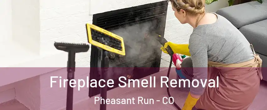 Fireplace Smell Removal Pheasant Run - CO