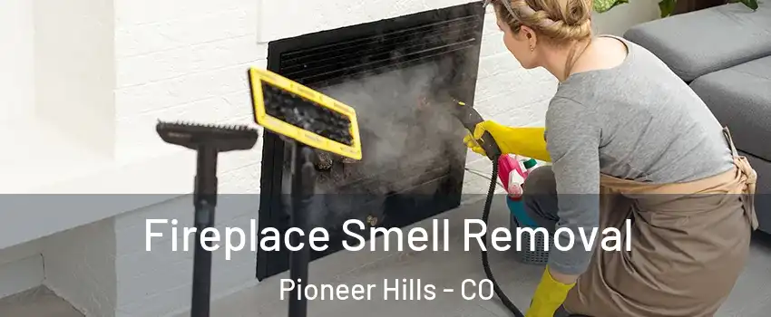 Fireplace Smell Removal Pioneer Hills - CO