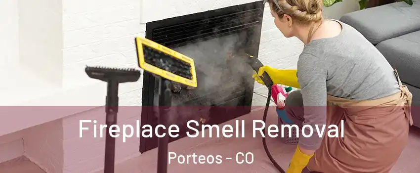 Fireplace Smell Removal Porteos - CO