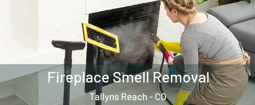 Fireplace Smell Removal Tallyns Reach - CO