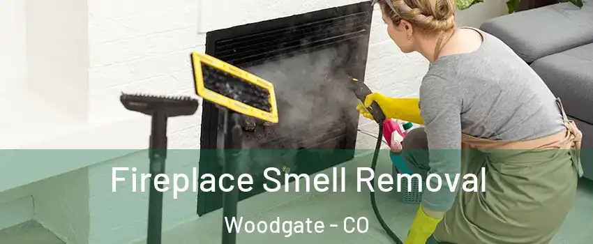 Fireplace Smell Removal Woodgate - CO