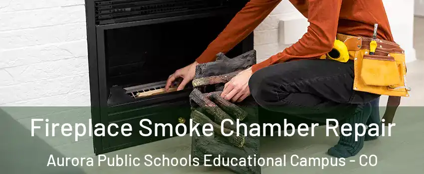 Fireplace Smoke Chamber Repair Aurora Public Schools Educational Campus - CO