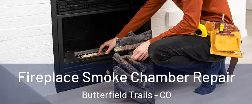 Fireplace Smoke Chamber Repair Butterfield Trails - CO