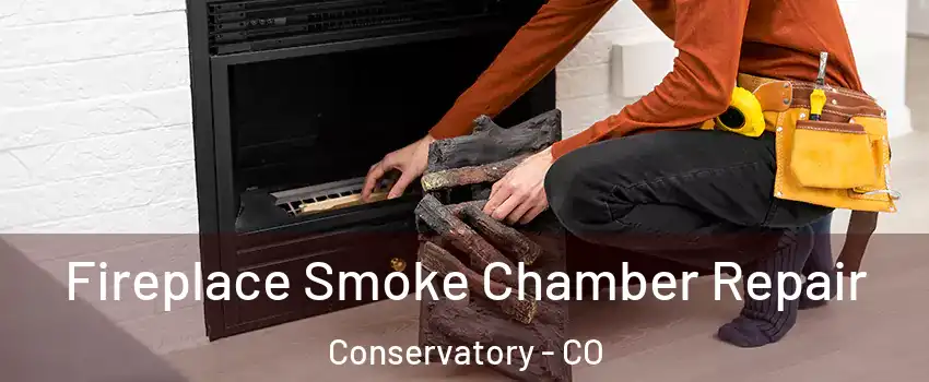 Fireplace Smoke Chamber Repair Conservatory - CO