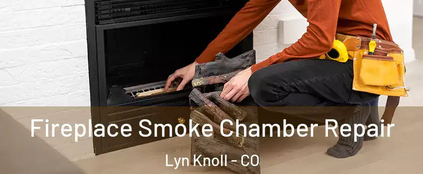 Fireplace Smoke Chamber Repair Lyn Knoll - CO