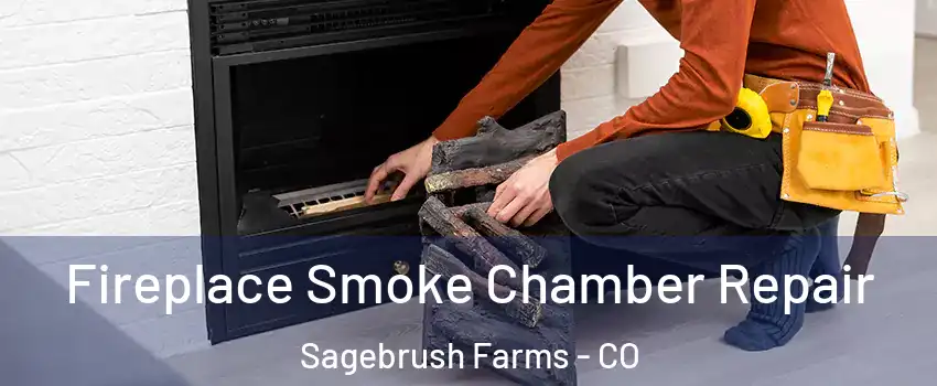 Fireplace Smoke Chamber Repair Sagebrush Farms - CO