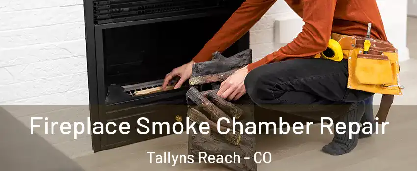 Fireplace Smoke Chamber Repair Tallyns Reach - CO