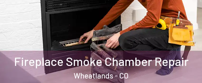 Fireplace Smoke Chamber Repair Wheatlands - CO