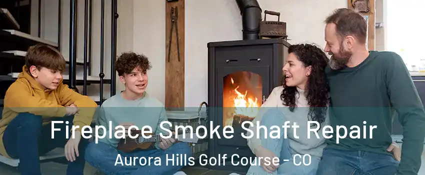 Fireplace Smoke Shaft Repair Aurora Hills Golf Course - CO