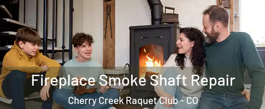 Fireplace Smoke Shaft Repair Cherry Creek Raquet Club - CO