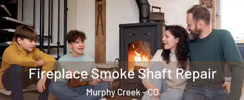 Fireplace Smoke Shaft Repair Murphy Creek - CO