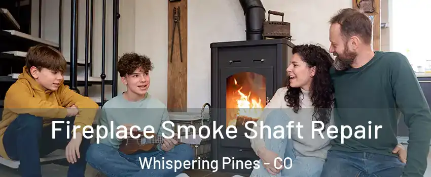 Fireplace Smoke Shaft Repair Whispering Pines - CO