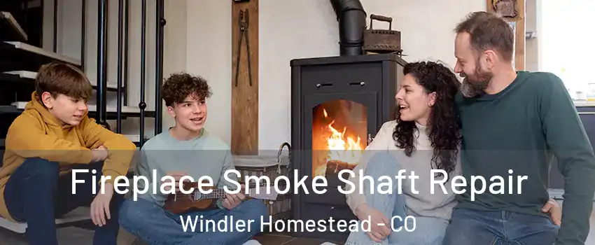 Fireplace Smoke Shaft Repair Windler Homestead - CO